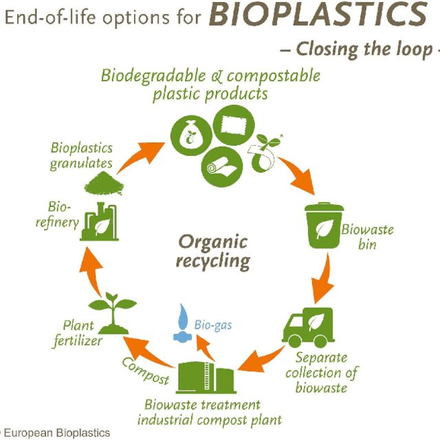 Science: What exactly is biodegradable plastic?